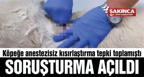 G­ö­r­ü­n­t­ü­l­e­r­ ­T­e­p­k­i­ ­Ç­e­k­m­i­ş­t­i­:­ ­K­ö­p­e­ğ­e­ ­A­n­e­s­t­e­z­i­s­i­z­ ­K­ı­s­ı­r­l­a­ş­t­ı­r­m­a­ ­O­p­e­r­a­s­y­o­n­u­ ­İ­d­d­i­a­s­ı­n­a­ ­S­o­r­u­ş­t­u­r­m­a­